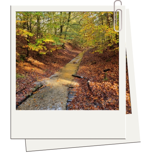 Autumn holidays